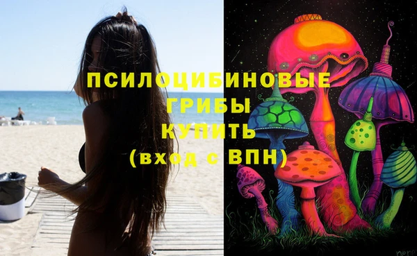 прущие крисы Нязепетровск