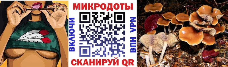Псилоцибиновые грибы прущие грибы  Биробиджан 